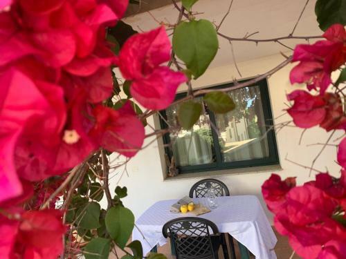 Apartamento Appartamenti Supramonte