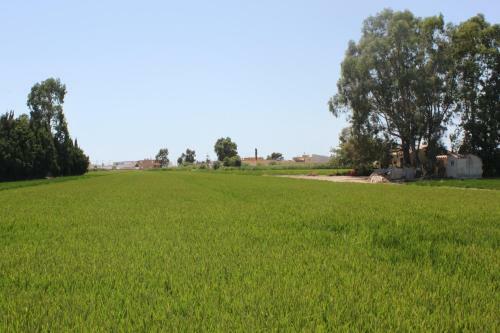 Vil�la Delta
