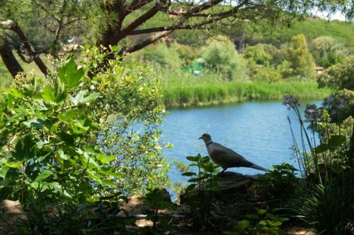 Camping Porto Sos�linos