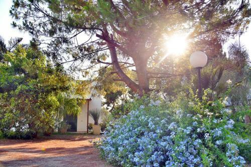 Apartamento Masseria Lama