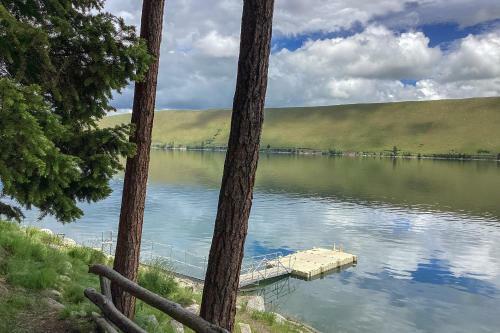 The Water's Edge