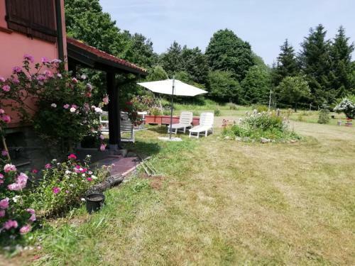 Bed & Breakfast Il Pettirosso Di Giusvalla