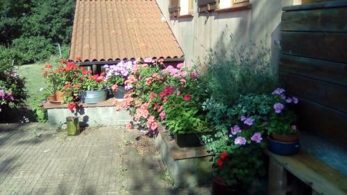 Bed & Breakfast Il Pettirosso Di Giusvalla