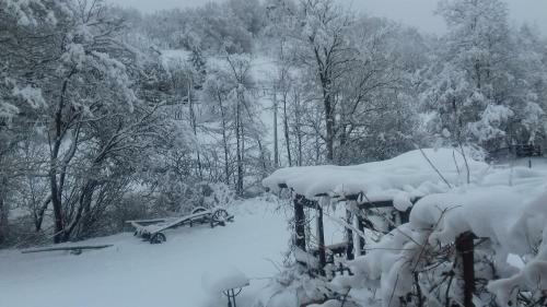 Bed & Breakfast Il Pettirosso Di Giusvalla
