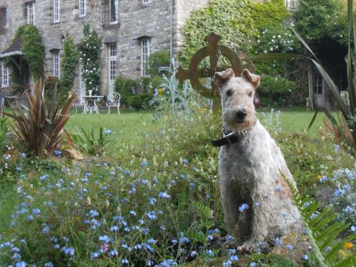 Bed & Breakfast Manoir De La Dube