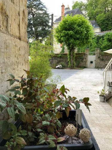 Bed & Breakfast Chambre Troglodyte Villa Marie Louise