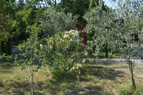 Roulottes Et Cabanes De Saint Cerice