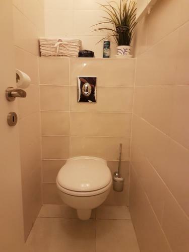 Apartamento Blau Guesthouse