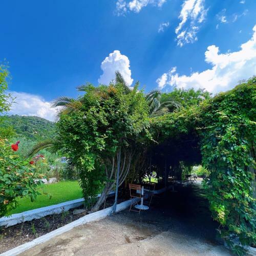 Hotel Garden Villa Naza