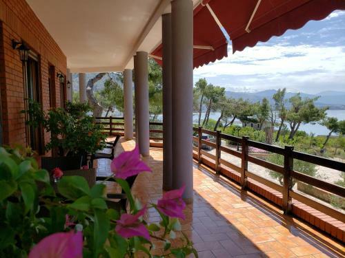 Apartamento Vila Elezi