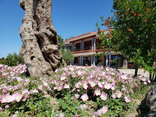 Apartamento Vila Elezi