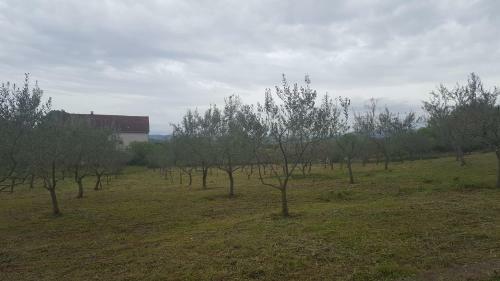 Hostal Pansion Ruzic