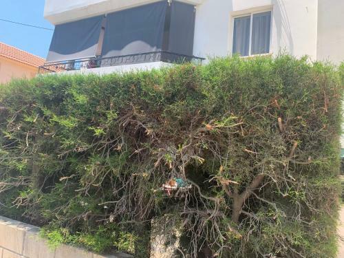 Apartamento Katia Appartment 101