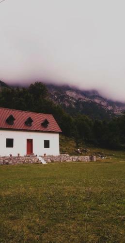 Hostal Guesthouse Freskia