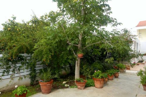 Hostal Sunny Garden Studio