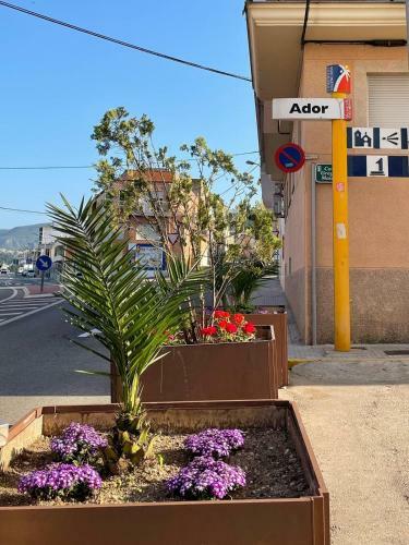 Apartamento En Sol, Ador