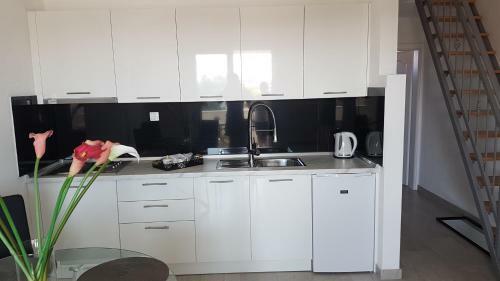 Apartmani Kozina