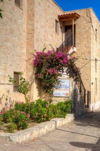 Apartamento Douliana Villas