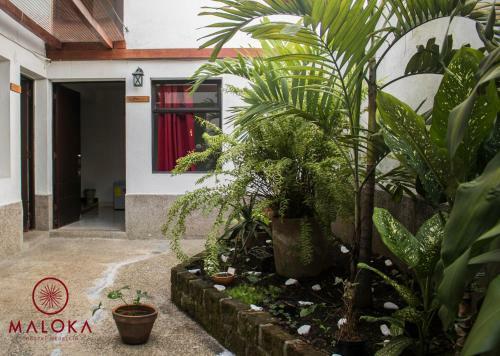 Hostal Maloka Hostel Medellin
