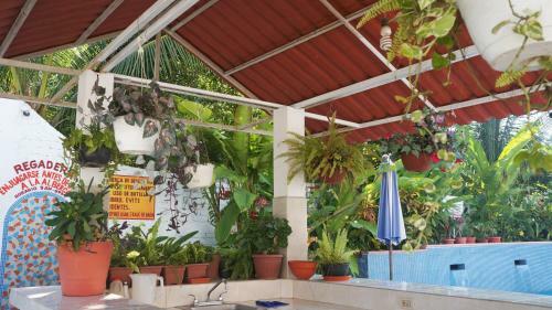 Hotel Maricarmen