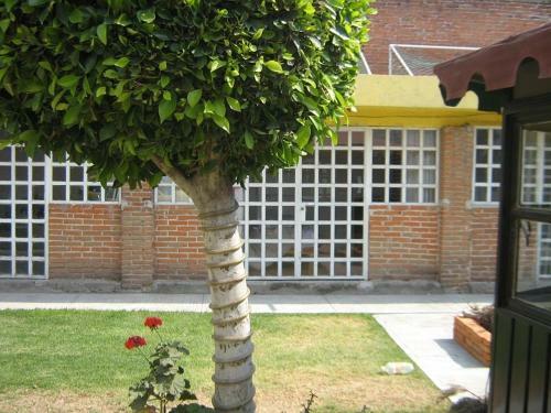 Hostal Hospedaje Bugambilias