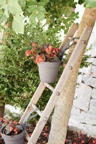 Bed & Breakfast I Trulli Di Pastore