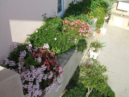 Hostal House Bacak - Apartment & Wellness-studio
