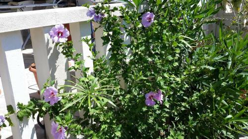Apartamento Villa Fontana