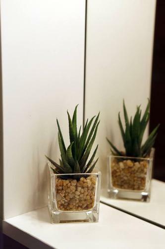 Apartamento Amerikon Braco