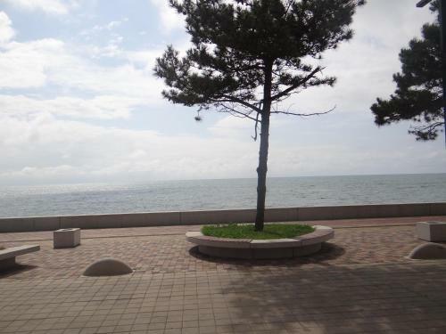 Apartamento Kobuleti-tamar Mephis Sanapiro Lux