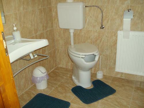 Hostal Somodi Vend�gh�z