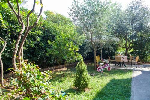 Hostal Apartments & Rooms Jelka