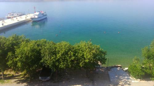 Bed & Breakfast Delfin