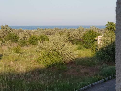 Apartamento ?????? ???????? ???????