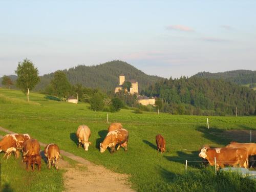 Bed & Breakfast Ferienhof Stanzl