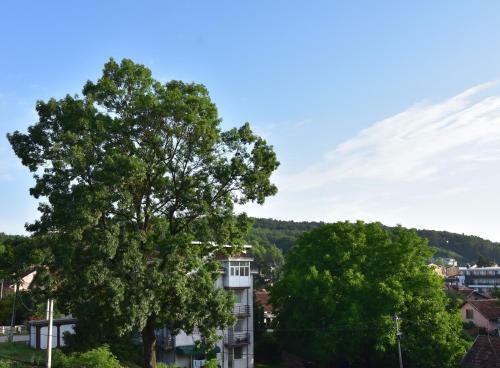 Apartman Point