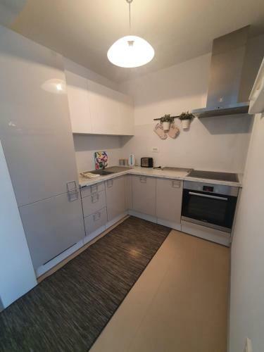 Apartment Sunic