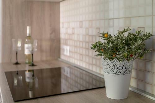 Apartments Fine Stay Slovenia