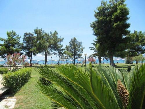 Hotel Nafsika Beach