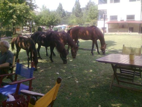 Agriani Hotel