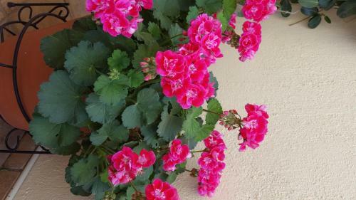 Apartamento Guesthouse Niriides