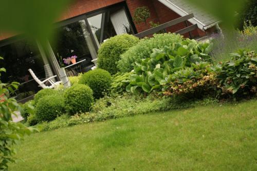 B&B Goudsbloempje