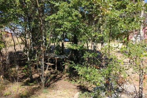Apartamento Caba�a Los Canelos De Villarica