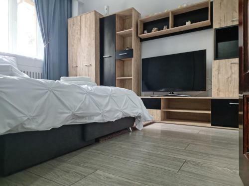 Apartament Georgiana