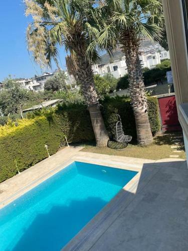Bodrum Turgutreis de Denize 250 M L�x Havuzlu Villa