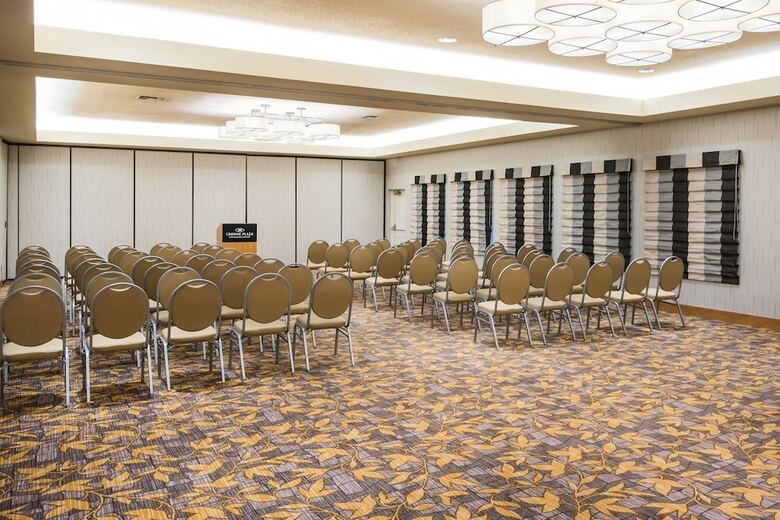 Hotel Crowne Plaza International Airport