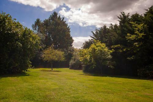 Pretty Pink Houses