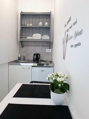 Studio Apartman Brleti?