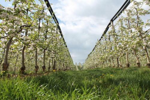 Agroturismo Obst & G�stehof Brandl