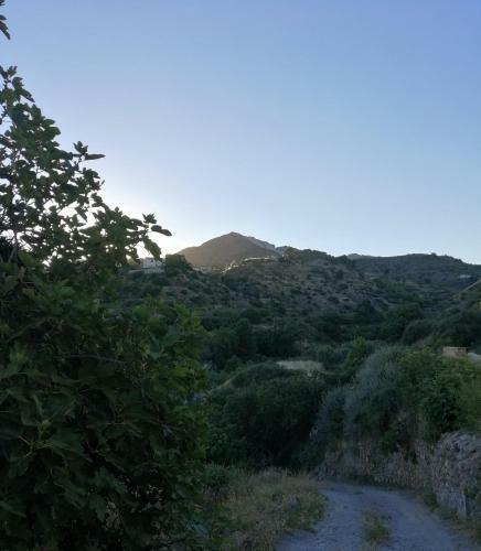 Apartamento Molino Mio